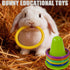 nsgglecher 13PCS 3 10 Rabbit Training Ring Toy, Rabbit Interactive Toy, Bunny Stacking & Educational Toys with Stacking