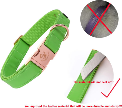 Elegant little tail Dog Collar and Leash, Durable Adjustable Pet Collar for Small Dogs