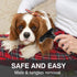 Pet Grooming Rake Comb for Dogs & Cats - Double Row Pins for Shedding, Dematting, Safe Grooming & Deshedding Brush