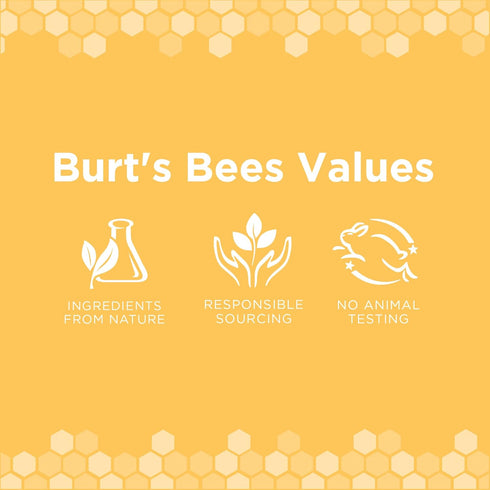 Burt's Bees for Pets Naturally Derived Deodorizing Spray - Best Dog Spray for Smelly Dogs, 10 oz - 6 Pack