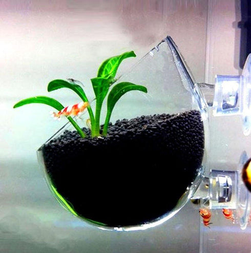 Tfwadmx Plant Pot Aquarium Decor, Aquatic Plant Cup with 2 Suction Cups for Fish Tank Aquascape, 2 Pack