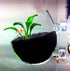 Tfwadmx Plant Pot Aquarium Decor, Aquatic Plant Cup with 2 Suction Cups for Fish Tank Aquascape, 2 Pack