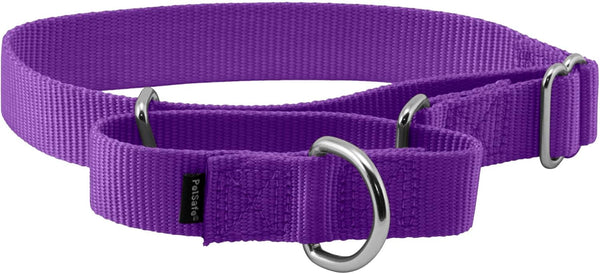PetSafe Adjustable Martingale Collar - Tightens When Dogs Pull, Prevents Slipping Out, Medium, Deep Purple, 1"