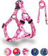 QQPETS Adjustable Dog Harness Leash Set, Heavy Duty No Pull Halter for Small Medium Large Dogs, Back Clip, Anti-Twist,