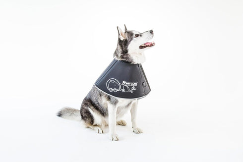 Comfy Cone Pet Cone for Dogs and Cats - Large, Black, Soft Recovery Collar for After Surgery