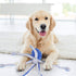 EXPAWLORER Octopus Dog Toy - Long Squeaky Plush Toy, Soft Stuffed Chew Toy with Crinkle Paper and Built-in Squeaker