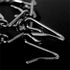7PACK Extra Links 2.25mm for Dog Collar, Prong Collar Extender, Steel Chrome Plated Training Links (Silver)