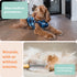 Suitical Recovery Suit for Dogs | Spay and Neutering Surgery Recovery Suit | Blue Camouflage