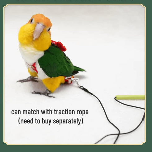 Barn Eleven Bird Flight Suits Diapers, Parrot Diapers for Monk Parakeets, Cockatiels, Parrot Clothes Costume, Bird