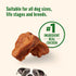 5 oz. Pack 5 Nutrish Savory Roasters Chicken Recipe Premium Dog Treats, Pouch, of (Rachael Ray)