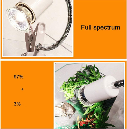 6-Pack Reptile Heat Lamp Bulb, E26/E27 75 Watt Full Spectrum Sun Light for Bearded Dragon & More