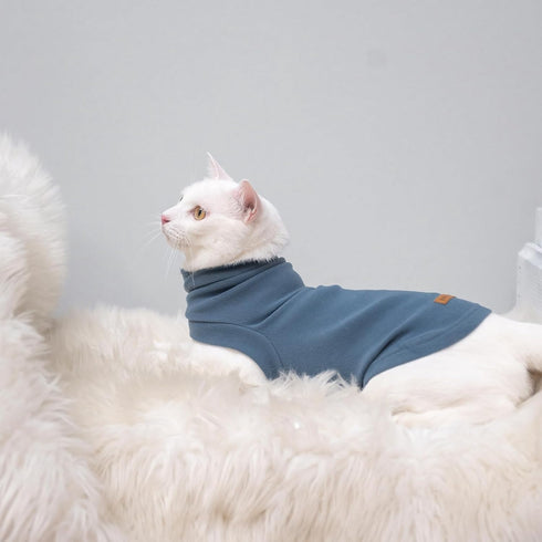 EXPAWLORER Soft Cat Sweater, Warm Kitten Clothes, Fall and Winter Pet Coat Pullover Design, Blue Medium