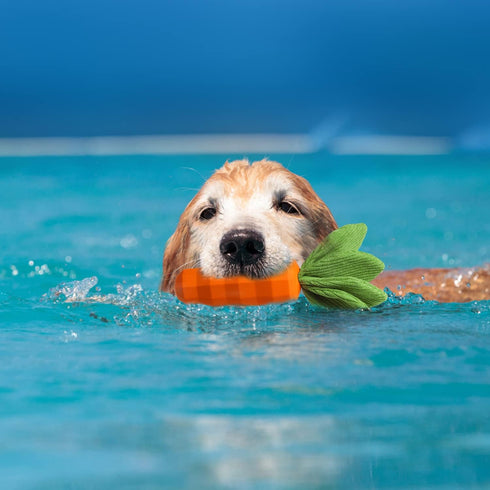 MewaJump Dog Squeaky Chew Toys for Aggressive Chewers, Rubber Carrot Dog Toys for Training, Interactive Tough Dog Toy