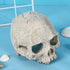 Halloween Aquarium Landscape Skull - Artificial Skeleton Decoration for Fish Tank