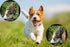 Dog Paw Protector Anti-Slip Grips, Keeps Dogs from Slipping on Hardwood Floors, XXL 40 Pieces