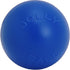 Jolly Pets 14 Inch Push-n-Play Ball Dog Toy - Extra-Large Blue Toy for All Breed Sizes