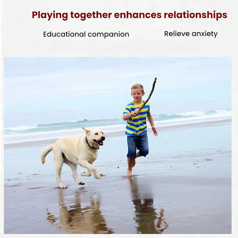 Generic Harmless 94cm Pet Dog Bite Teether Cotton Rope Five Knot Large Dog Teeth Cleaning Deodorizing Anti-Tear Home