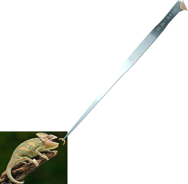 Extra Long Tweezers, 18.9 inch Stainless Steel Feeding Tongs for Fish Tank and Aquascaping