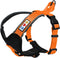 Pawtitas Reflective Dog Harness - Comfortable & Padded for Controlled Walks or Runs - XS, Orange