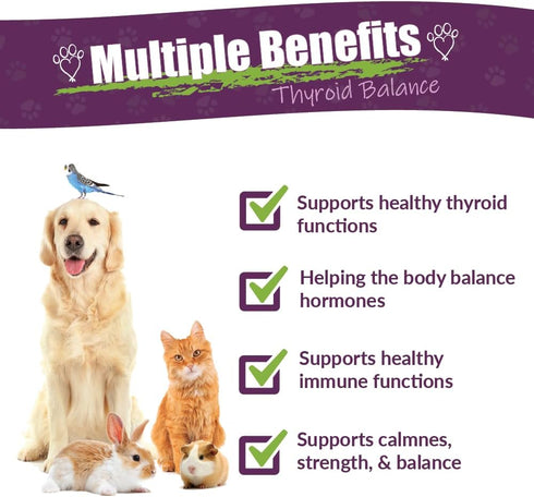 1 Amber NaturalZ TYD Thyroid Balance Herbal Supplement for Dogs, Cats, Birds, Guinea Pigs, and Rabbits | Herbal Pet