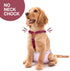 2 Pet Soft Dog Suspenders Pieces Female Dog Diaper Suspenders for Dogs Diaper Keeper Suspender for Dogs Skirt, Doggy