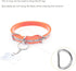 Dog Collar Strap for Electronic Training Shock Collar Receivers, Adjustable Waterproof 3/4 Inch Replacement