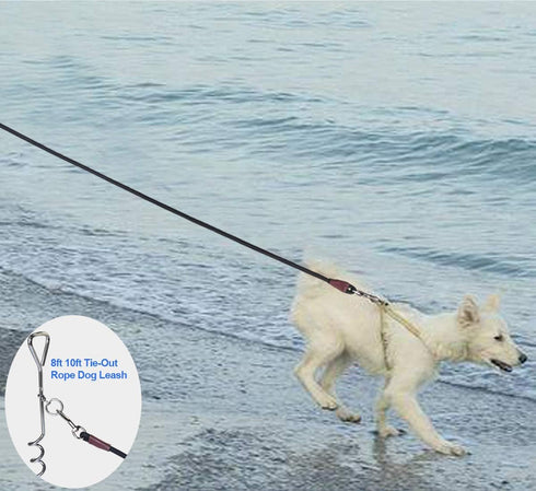 Tie Out Rope Dog Leash, Heavy Duty Nylon Check Cord for Medium Large Dogs Indoor/Outdoor (3/8" x 15ft, Blue)