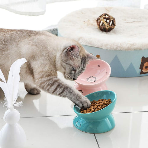 Sweejar Ceramic Raised Cat Bowls - Turquoise | Slanted Cat Dish for Food or Water, Elevated Porcelain Pet Feeder Bowl