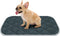 furrybaby Dog Bed Mat, Flat Crate Mat with Anti-Slip Bottom, Machine Washable Pet Kennel Pad (M 30x19'', Grey)