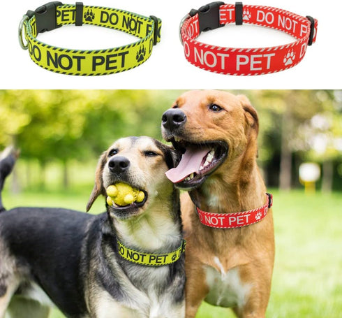 Dog Collar for DO NOT PET | Sturdy Durable with Buckle | Yellow Adjustable Polyester Collar for Small Medium Large Dogs