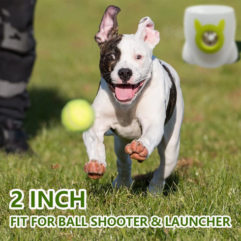 BESTHLS 16 Pack Pet Ball for Dog Small 2inch Tennis Balls for Tiny Small Dogs, Fetching Exercise & Training