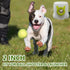 BESTHLS 16 Pack Pet Ball for Dog Small 2inch Tennis Balls for Tiny Small Dogs, Fetching Exercise & Training