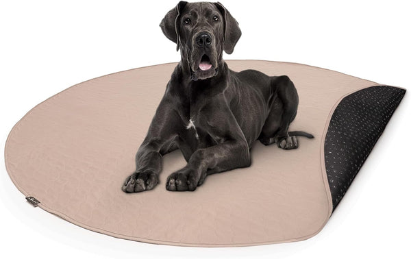 Paw Inspired Round Washable Pee Pad for Dogs | Reusable Puppy Pad