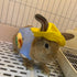ANIAC Funny Cat Hat for Cat XXS Dog Sun Hat with Ears Hole, Rabbit Outfit for Bunny Mini Sombrero Puppy Hat for Small