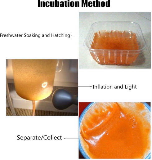 Ubxvamm 60G Aquarium Hatching Fish Food Shelling Eggs Shrimp Shelling Eggfood for Feeding Baby Fishes