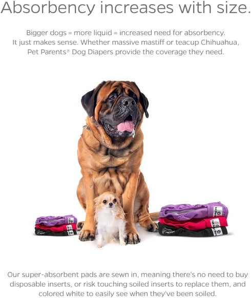 Pet Parents Premium Washable Dog Diapers & Extenders, 3 Pack of Female Diapers, Color: Princess, XL