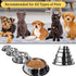 Stainless Steel Cat Bowl, 4 Pack - Non-Slip Metal Dog Bowls for Food and Water with Rubber Base