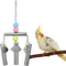 Bird Stainless Steel Bells String, Parrot Hanging Chew Toy for Parakeet, Cockatiel, Cockatoo (Silver)