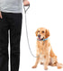 Metal Dog Leash, Chew Proof Chain, 4ft Heavy Duty with Padded Handle for Large Medium Dogs