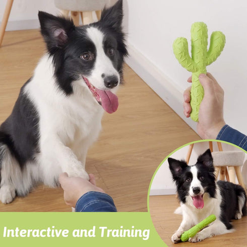 MewaJump Tough Rubber Dog Chew Toys for Aggressive Chewers, Cactus Dog Toys for Medium/Large Dog Training