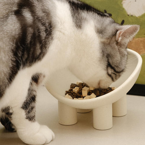 Four-Legs Ceramic Cat Bowl, Chubby Cute Pet Bowls, Matte Crème