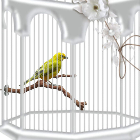 PINVNBY Parrot Perches Natural Birds Stand, Wild Grape Stick Grinding Paw Climbing Wood Accessories for Parakeet and
