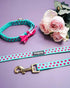 Blueberry Pet Valentine's Day Dog Leash, Velvety Soft-Touch Heart Flocking Lead for Medium Dogs, Minty Green, 5 ft x