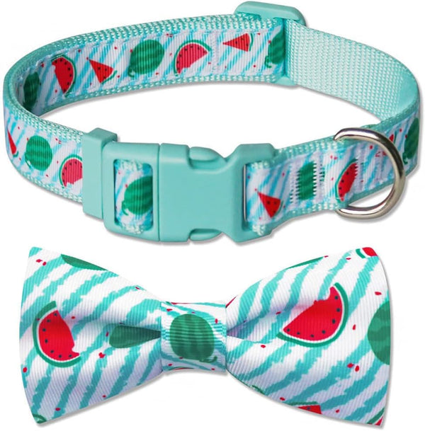 azuza Stylish Watermelon Bowtie Dog Collar for Puppy and Small Dogs