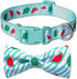 azuza Stylish Watermelon Bowtie Dog Collar for Puppy and Small Dogs