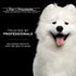 Chris Christensen Karben I Slicker Brush for Dogs, Ideal for All Coat Types, Remove Shedding Coat and Tangles