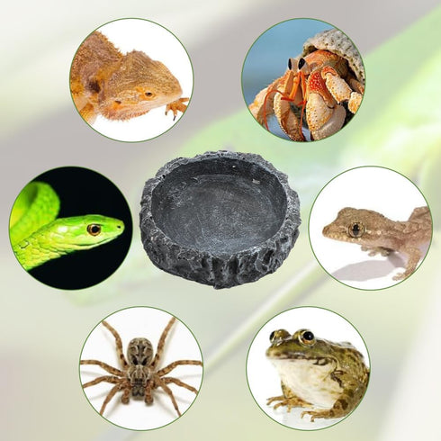 Reptile Bowls, 2 Pcs Feeding Dish with Clamp & Shovel, Resin Rock Water & Food Bowls for Reptiles