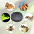 Reptile Bowls, 2 Pcs Feeding Dish with Clamp & Shovel, Resin Rock Water & Food Bowls for Reptiles