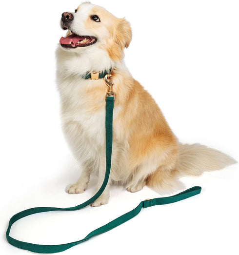 Dark Green Soft Corduroy Dog Collar and Leash Set, Adjustable Cotton Collars with Metal Buckle for Small Dogs