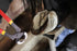 8 inch 7 Farrier Tool Kits Piece Mini Rasp Hoof File Goat Pig Equine Metal Shears Professional Farriers Hoof Nipper
